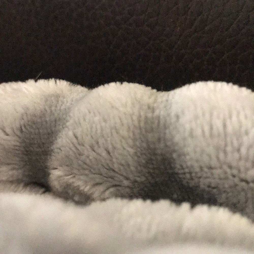 Meet your Posher, Shannon